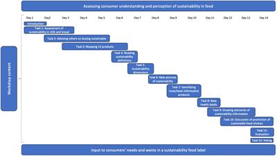 What consumers want in a sustainability food label: Results from online co-creation workshops in the United Kingdom, Ireland and Denmark